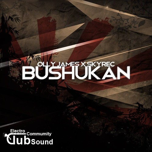 Olly James & Skyrec - Bushukan (Original Mix).jpg