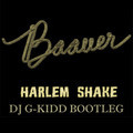 Harlem Shake.jpg : It's Your Birthday So Do The Harlem Shake (DJ G-Kidd Bootleg)
