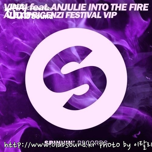 VINAI feat. Anjulie - Into The Fire (Alex Prigenzi Festival VIP).jpg