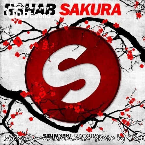 R3hab - Sakura (Extended Mix).jpg