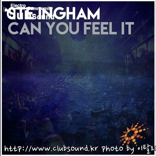 Ste Ingham - Can You Feel It (Extended Mix).jpg