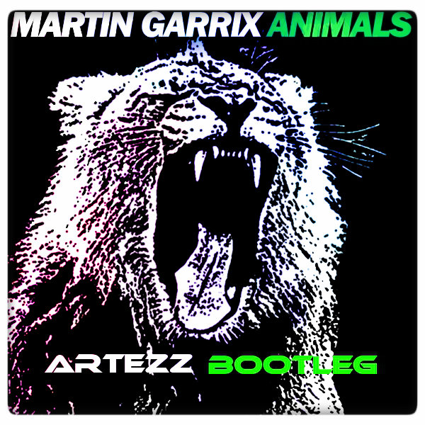 Martin Garrix - Animals.jpg