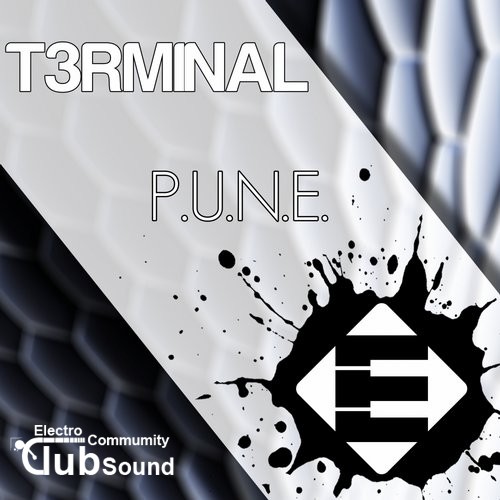 T3rminal - P.U.N.E. (Original Mix).jpg
