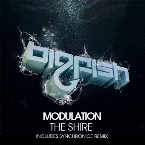Modulation - The Shire (Original Mix).jpg : [Maniac] Rogue Feat. Meg Dean - Cataclysm (Original Mix) + 요청