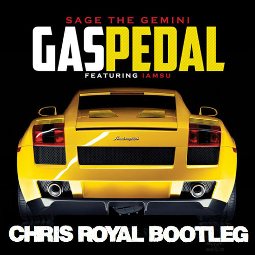 gas pedal.jpg