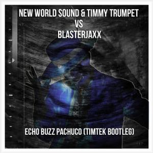 Echo Buzz Pachuco (Timtek Bootleg).jpg : New World Sound & Timmy Trumpet Vs Blasterjaxx - Echo Buzz Pachuco (Timtek Bootleg) + 10