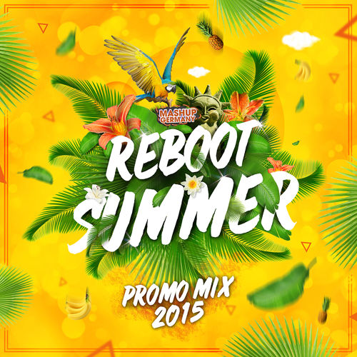Mashup Germany Promo Mix 2015.jpg : Mashup Germany Promo Mix 2015 (Reboot Summer) 1시간 40분의 행복!!!