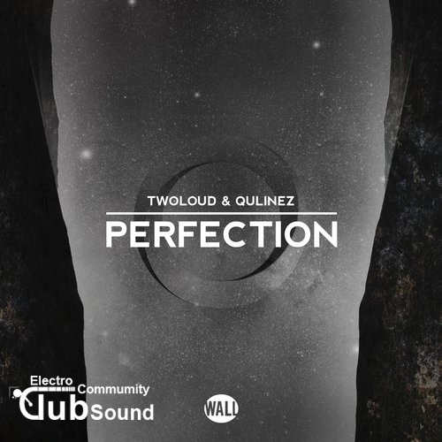 twoloud & Qulinez - Perfection (Original Mix).jpg