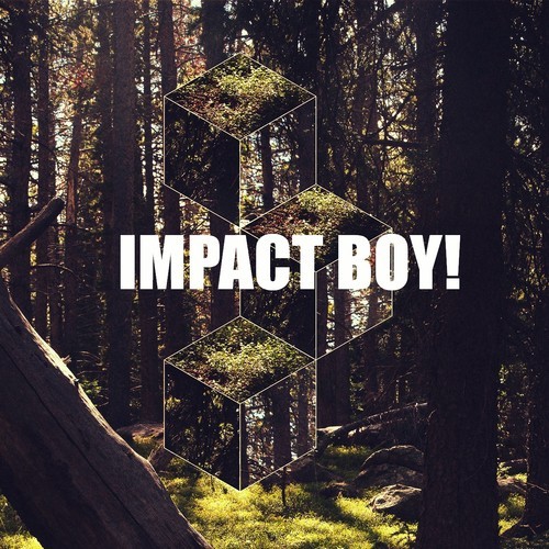 impact boy.jpg