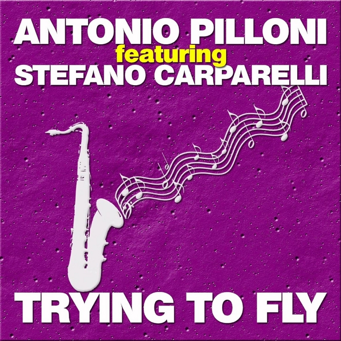 Trying to Fly.jpg