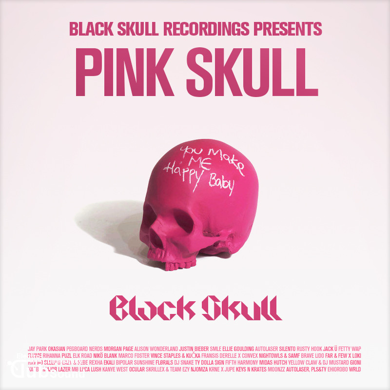 aaaaaa.jpg : Black Skull Recordings Presents #048 Pink Skull (You Make Me Happy Baby)