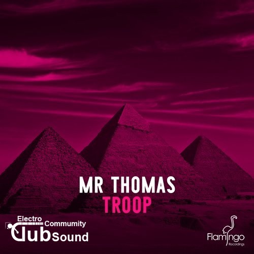 Mr Thomas - Troop (Original Mix).jpg