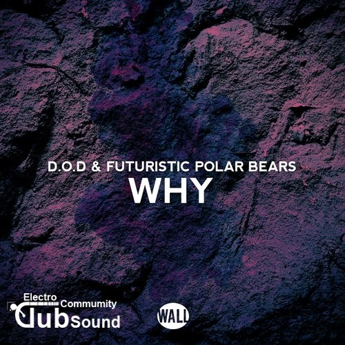 D.O.D. & Futuristic Polar Bears - Why (Extended Mix).jpg
