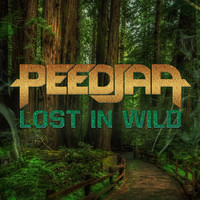 lost in wild.jpg