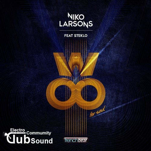 Niko Larsons feat. Steklo - Woo (For Soul) (Extended Mix).jpg