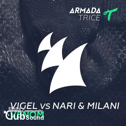 Vigel vs. Nari & Milani - Venom (Original Mix).jpg