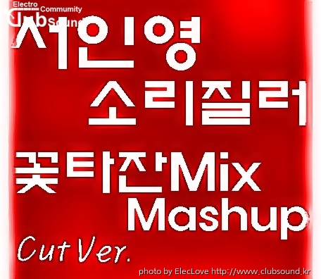 서인영 - 소리질러 (꽃타잔Mix Mashup) Cut Ver.jpg