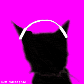 3.gif