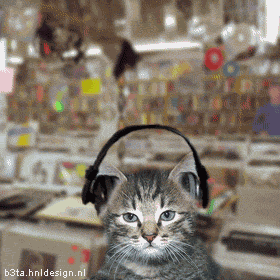 2.gif
