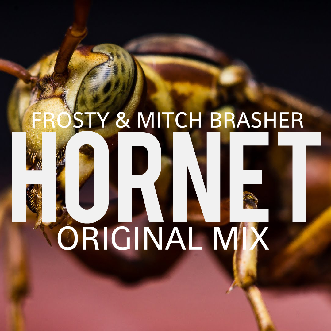 Hornet (Original Mix).jpg