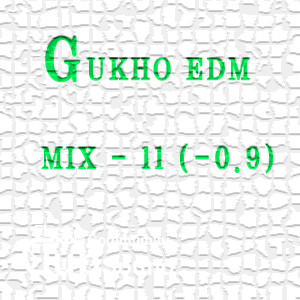 GUKHO EDM MIX - 11 (-0.9)-.jpg : GUKHO EDM MIX - 11 (-0.9)