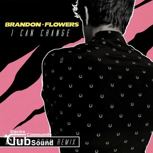Brandon Flowers - I Can Change (Michael Brun Remix).jpg