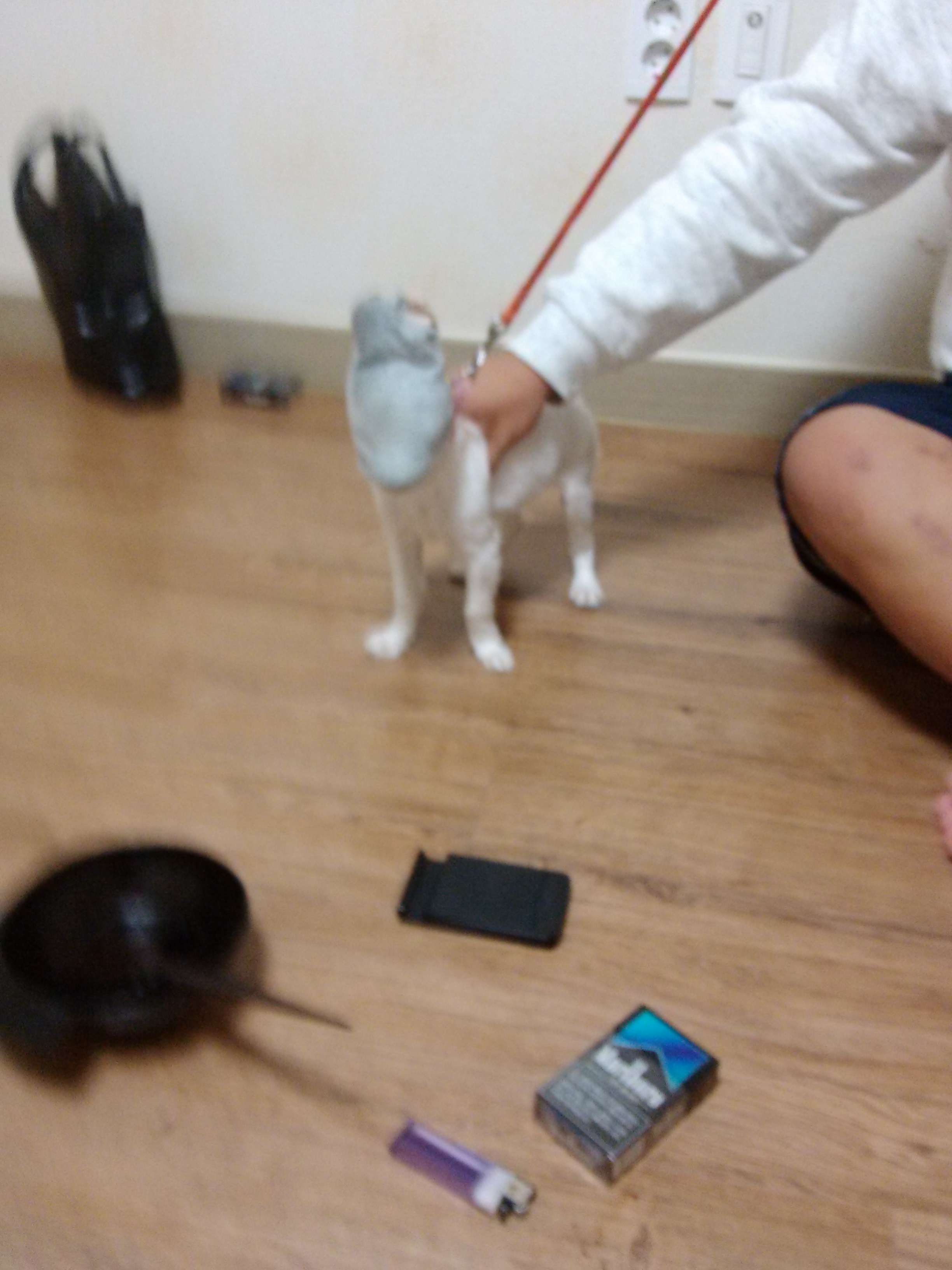 CAM00134.jpg : (무료곡) David Guetta feat  Ne-Yo & Akon-Play Hard 조아효★★★