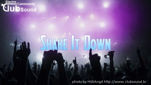 Shake It Down.jpg
