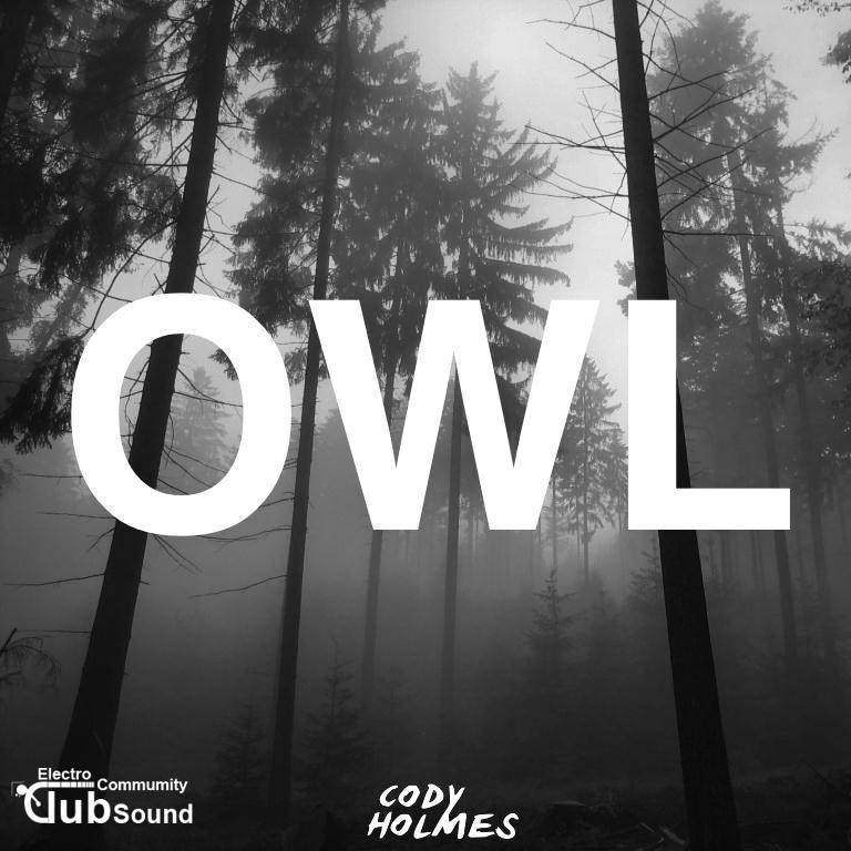 owl.jpg