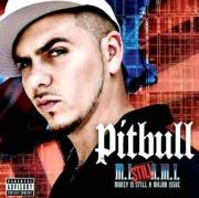 ugcCAO8G7YE.jpg : Pitbull - I Know You Want Me (Ivan Frost Remix)
