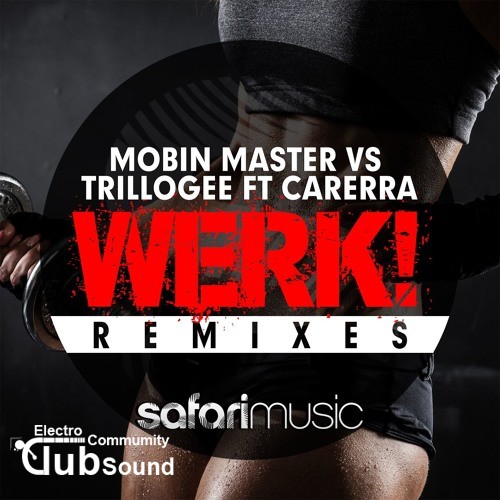 Mobin Master vs. Trillogee feat. Carerra - Werk! (Melbourne Bounce Project's First Option Remix).jpg