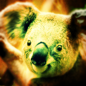 set-it-off-koala-erivera-reyes-bootleg_large.jpg