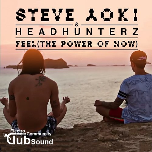 Steve Aoki & Headhunterz - Feel (The Power Of Now) (Original Mix).jpg
