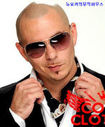 ㅇㄴㄹㄴㅇ.jpg : ★무료★ Pitbul - Something For The Dj's (Super Deluxe Edition)