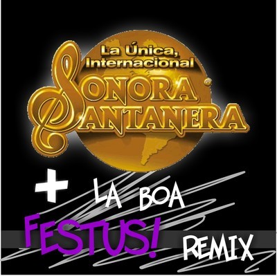 artworks-000022582274-xgs05e-crop.jpg : La Sonora Santanera - La Boa (Festus! Remix)