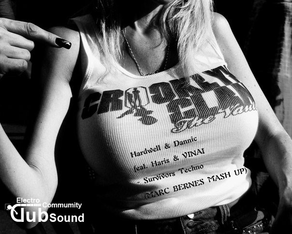 Hardwell & Dannic feat. Haris & VINAI  - Survivors Techno ( MARC BERNES MASH UP ).jpg : Hardwell & Dannic feat. Haris & VINAI  - Survivors Techno ( MARC BERNES MASH UP )