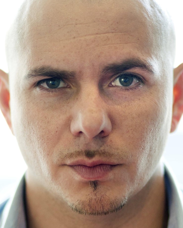 pitbull_by_m_moog-d4i8mk1.jpg