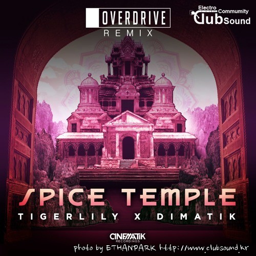 Dimatik & Tigerlily - Spice Temple (OverDrive Remix).jpg