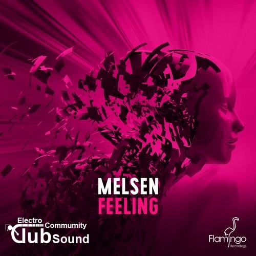 Melsen - Feeling (Original Mix).jpg