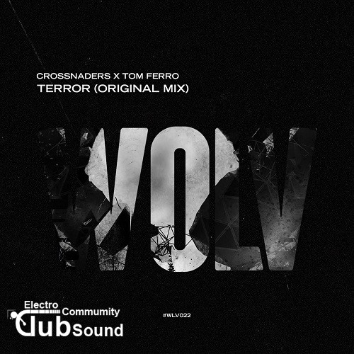 Crossnaders X Tom Ferro - Terror (Original Mix).jpg