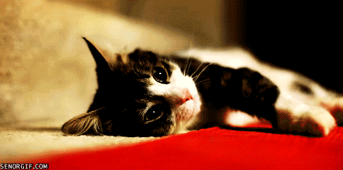 zzzzzz.gif : ★무료★T.J.R-David kane - Club Sound (T.J Remix)