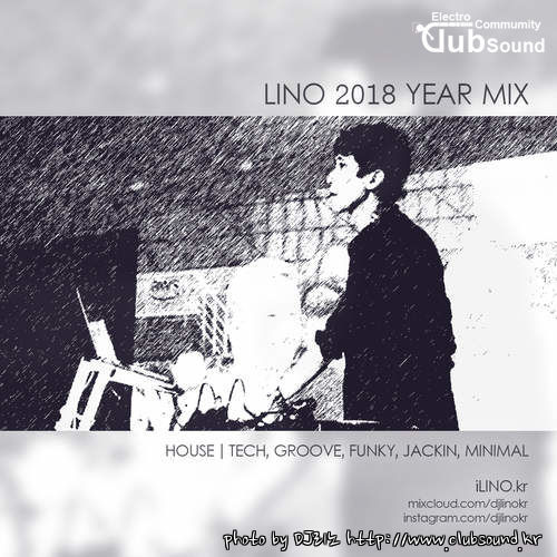 LINO 2018 Year Mix.JPG