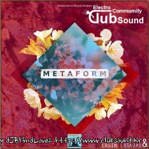 2536983-metaform-300.jpg