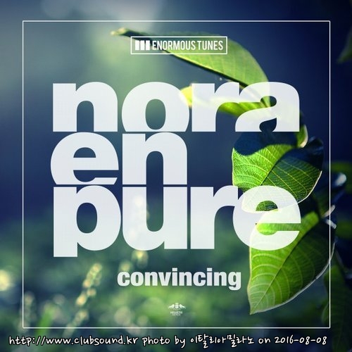 Nora En Pure - Convincing (Original Club Mix).jpg