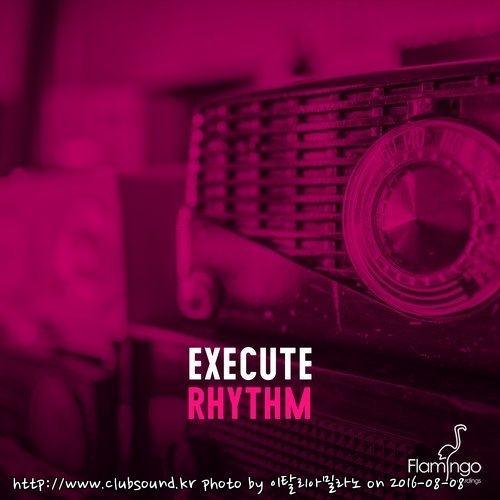 Execute - Rhythm (Extended Mix).jpg