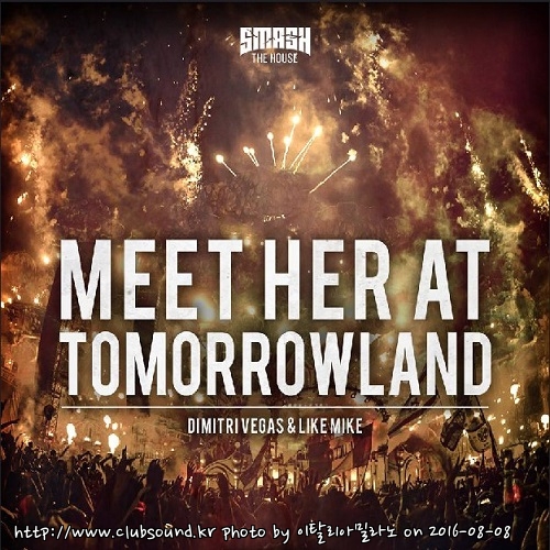 Dimitri Vegas & Like Mike feat. Da Hool - Meet Her At Tomorrowland‬ (Extended Mix).jpg
