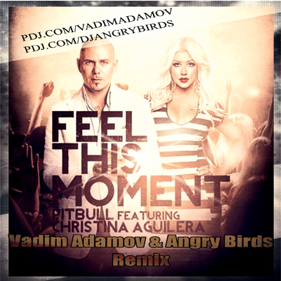 %%S Feel This Moment (Vadim Adamov & Angry Birds Remix).jpg