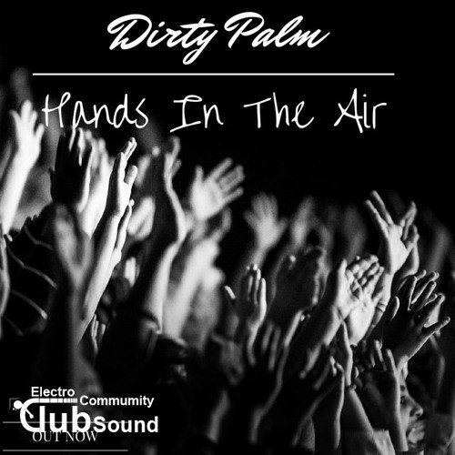 Dirty Palm - Hands In The Air (Original Mix).jpg