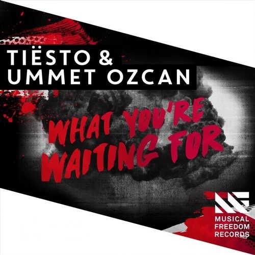 Tiesto & Ummet Ozcan - What You're Waiting For (Original Mix).jpg