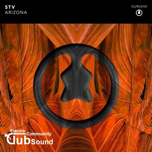 STV - Arizona (Original Mix).jpg